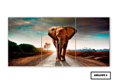 Tríptico simple Elefantes 8 - comprar online