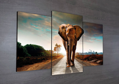 Tríptico escalonado Elefantes 8 - comprar online
