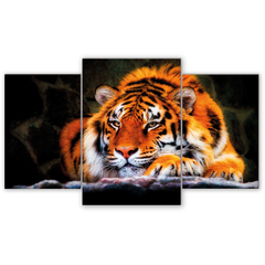 Tríptico escalonado Tigres 82