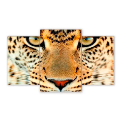 Tríptico escalonado Leopardos 9
