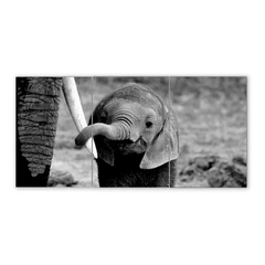 Tríptico simple Elefantes 91
