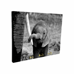 Portallaves de pared Elefantes 91