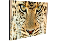 Portallaves de pared Leopardos 9 - comprar online
