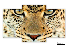 Tríptico escalonado Leopardos 9 - comprar online