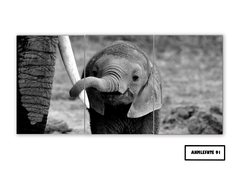 Tríptico simple Elefantes 91 - comprar online