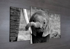 Tríptico escalonado Elefantes 91 - comprar online