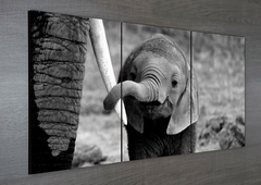 Tríptico simple Elefantes 91 en internet