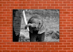 Elefantes 91 - tienda online
