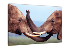 Elefantes 20 - comprar online