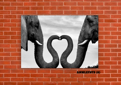 Elefantes 6 - tienda online