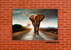 Elefantes 8 - tienda online