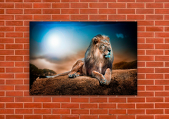 Leones 105 - tienda online