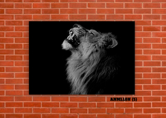 Leones 5 - tienda online