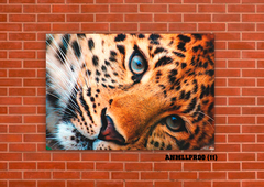Leopardos 11 - tienda online