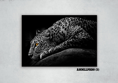 Leopardos 3 en internet