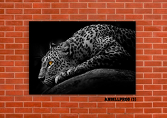 Leopardos 3 - tienda online