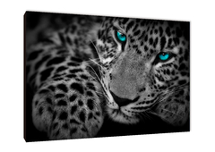 Leopardos 5 - comprar online