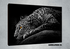 Leopardos 3 - GG Cuadros