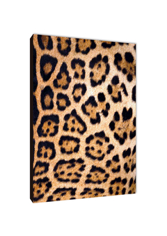 Leopardos 6 - comprar online