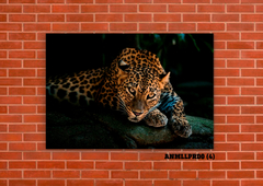 Leopardos 4 - tienda online