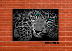 Leopardos 5 - tienda online