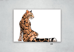 Leopardos 15 en internet