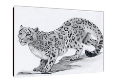 Leopardos 20 - comprar online