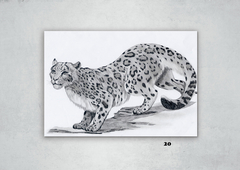 Leopardos 20 en internet