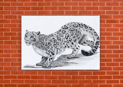 Leopardos 20 - tienda online