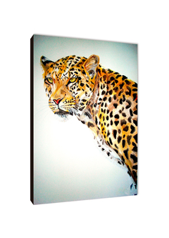 Leopardos 22 - comprar online
