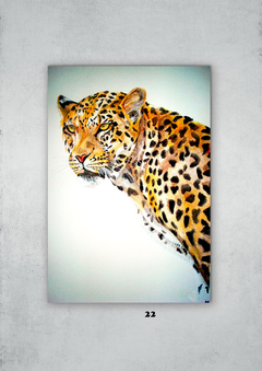 Leopardos 22 en internet
