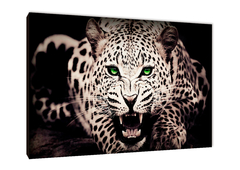 Leopardos 25 - comprar online