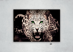 Leopardos 25 en internet