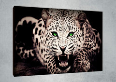 Leopardos 25 - GG Cuadros