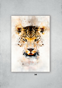 Leopardos 30 en internet