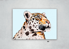 Leopardos 31 en internet