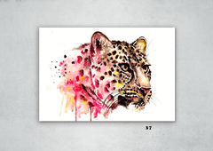 Leopardos 37 en internet
