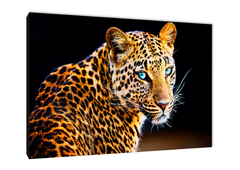 Leopardos 38 - comprar online