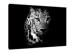 Leopardos 40 - comprar online