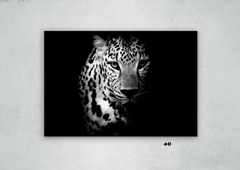 Leopardos 40 en internet