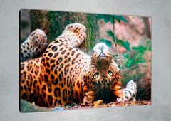 Leopardos 43 - GG Cuadros