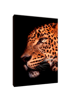 Leopardos 45 - comprar online
