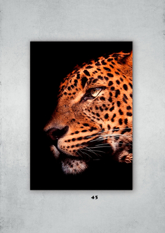 Leopardos 45 en internet
