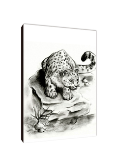 Leopardos 50 - comprar online