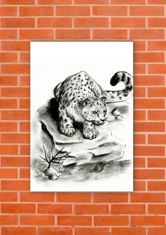 Leopardos 50 - tienda online