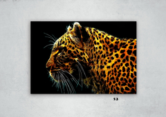Leopardos 52 en internet