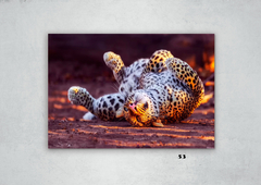 Leopardos 53 en internet