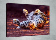 Leopardos 53 - GG Cuadros