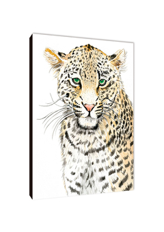 Leopardos 60 - comprar online