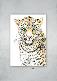 Leopardos 60 en internet